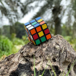 0 (19)